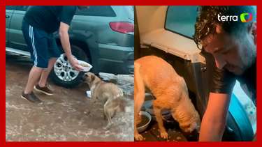 Vereador viraliza ao colocar cachorros de rua para comer dentro do ...