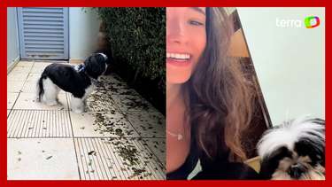 Influencer viraliza ao receber cachorro errado de pet shop: 'Quem ...