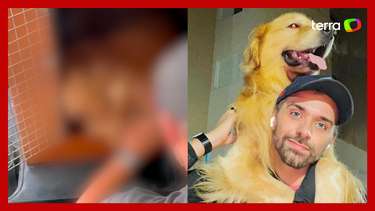 Cachorro morre após falha no transporte aéreo da companhia Gol