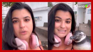 Pedestre resgata pinguim na praia de Copacabana: 'Só acontece comigo'