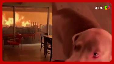 Incêndios nos EUA: homens e cão ficam presos em casa tomada por ...