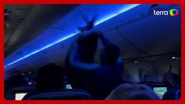 Passageiro flagra pombas dentro de avião, e voo decola com atraso ...