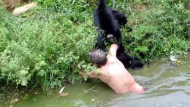 Macaco em zoológico faz ligação emergencial e confunde policiais