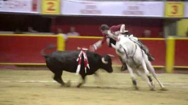 Homens esquartejam cavalo moribundo em tourada na Colômbia - Notícias - R7  Internacional