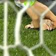 Palmeiras é denunciado por gritos homofóbicos e cabeças de galinha no Dérbi