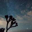 Chuva de meteoros Líridas vai ficar mais intensa; veja como acompanhar