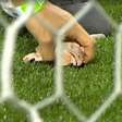 Palmeiras é punido por cabeça de galinha e cantos homofóbicos
