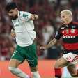 Probabilidade de Palmeiras ser campeão é de 57,5%; Flamengo tem 23,8%, diz UFMG
