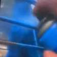 Homem pode responder por maus tratos após pintar macaco de azul