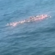 Bombeiros resgatam mais de 70 praticantes de stand up paddle após ventania