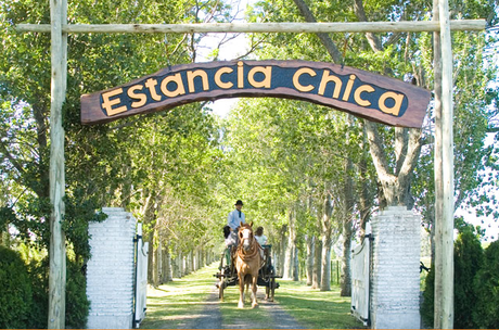Web/ Con la colaboración de Escapadas Argentinas Estancia Chica: Emprendimiento familiar rodeado de una frondosa arboleda que promete un encuentro con la naturaleza y con la vida de campo. Se puede pasear por la huerta orgánica, caminar por los diferentes senderos descubriendo especies de árboles, plantas y flores, recorrer los corrales de animales de granja, cabalgar, disfrutar de paseos en carro o sulki, de la piscina con solarium y de las reposeras para el descanso... Cuenta con juegos infantiles para los más chicos, ping pong, metegol, sapo y tejo. En San Andrés de Giles.Día de campo: $200 los adultos. Menores entre 4 y 10 años abonan el 50% de la tarifa. Menores de 4 años sin cargo. Incluye recepción, almuerzo con bebidas sin alcohol y actividades.