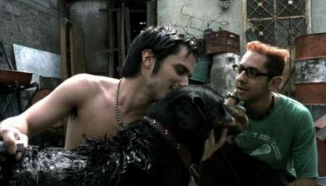 Divulgación Amores Perros. (2000). México. Ópera prima del director Alejandro González Iñárritu. En Ciudad de México, un fatal accidente automovilístico involucra a tres personas. Octavio, un adolescente, que escapa con Susana, la esposa de su hermano; el Cofí, su perro, se convierte en el instrumento para conseguir el dinero necesario para la fuga. Al mismo tiempo, Daniel, un hombre maduro deja a su esposa y a sus hijos para irse a vivir con Valeria, una hermosa modelo. El mismo día en que celebran su nueva vida, el destino hace que Valeria sea víctima de un trágico accidente. (Filmmafinity) Con Gael García Bernal.