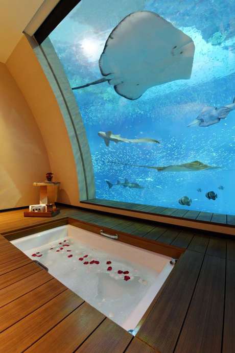 Sentosa Resort, Cingapura: o Sentosa Resort de Cingapura inaugurou 11 Suítes Oceano, com uma janela que dá diretamente para o aquário, no qual os hóspedes podem avistar animais como tubarões, arraias e outras 70 espécies marinhas. Modernas e confortáveis, as suítes garantem uma experiência única por diárias de cerca de R$ 4 mil Sentosa Resort, Cingapura: o Sentosa Resort de Cingapura inaugurou 11 Suítes Oceano, com uma janela que dá diretamente para o aquário, no qual os hóspedes podem avistar animais como tubarões, arraias e outras 70 espécies marinhas. Modernas e confortáveis, as suítes garantem uma experiência única por diárias de cerca de R$ 4 mil