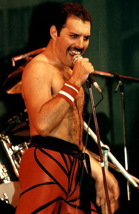 was freddie mercury gay