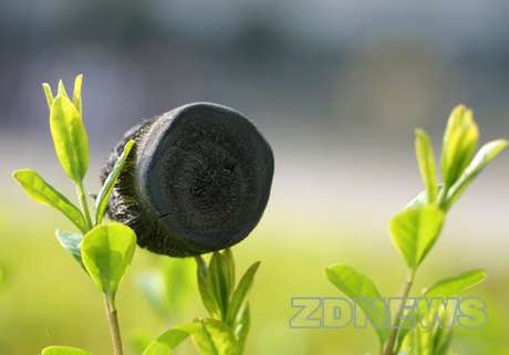 ZDNEWS Imagen del aerogel creado por la universidad de Zhejiang