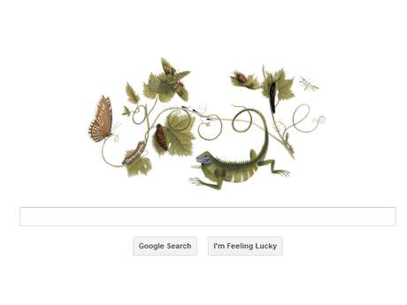 Maria Sibylla Merian viajou ao Suriname e registrou detalhes de insetos, publicados na volta à Europa <p>Maria Sibylla Merian viajou ao Suriname e registrou detalhes de insetos, publicados na volta à Europa</p>