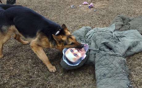Reuters <p>Cachorro militar norte-coreanos ataca boneco com a foto do Ministro de Defesa da Coreia do Sul Kim Kwan-Jin</p>