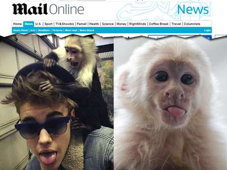 Bieber não vai mais ficar com o macaco Mally Bieber não vai mais ficar com o macaco Mally