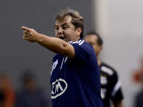 Kleina vai comandar Palmeiras em Araraquara e Itu Série B <p>Kleina vai comandar Palmeiras em Araraquara e Itu Série B</p>
