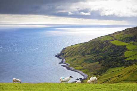 Getty Images <p>Irlanda</p>
