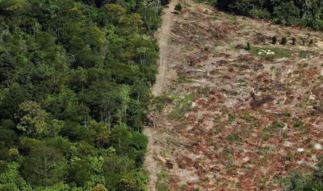 Brasil é o país que mais perde em hectares de área verde por ano <p>Brasil é o país que mais perde em hectares de área verde por ano</p>