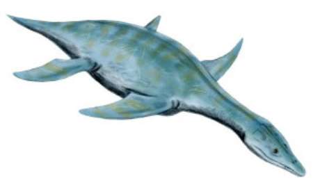 Espécie de répteis teria parentesco com o réptil aquático Leptoceidus Capensis Espécie de répteis teria parentesco com o réptil aquático Leptoceidus Capensis