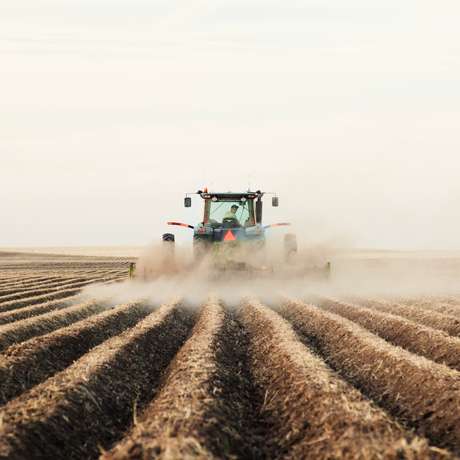 Cursos podem ajudar produtor na busca de uma visão sistêmica do agronegócio <p>Cursos podem ajudar produtor na busca de uma visão sistêmica do agronegócio</p>