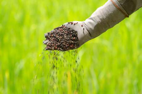 Venda de fertilizantes deve atingir o pico no segundo semestre do ano Venda de fertilizantes deve atingir o pico no segundo semestre do ano