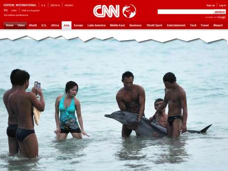 Turistas preferiram tirar fotos ao lado do animal em vez de procurar ajuda Turistas preferiram tirar fotos ao lado do animal em vez de procurar ajuda