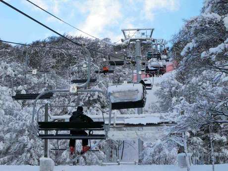 Cerro Castor é uma famosa pista perto da cidade de Ushuaia <p>Cerro Castor é uma famosa pista perto da cidade de Ushuaia</p>