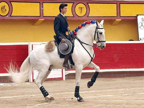 Divulgación Internet Eduardo Rubí, rejoneador mexicano