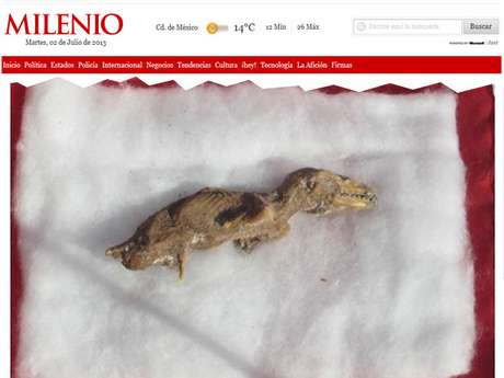 Exemplar do que pode ser um feto de velociraptor foi descoberto por trabalhadores em uma obra Exemplar do que pode ser um feto de velociraptor foi descoberto por trabalhadores em uma obra