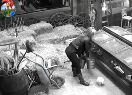 Erro em atividade gera confusão e muitos conflitos no reality rural <p>Erro em atividade gera confusão e muitos conflitos no reality rural</p>