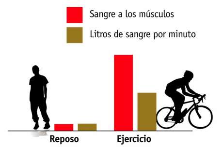 Sport Life El corazón