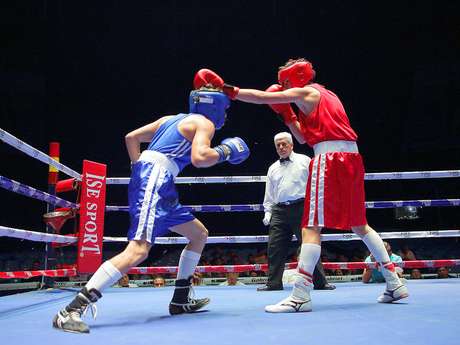 Terra Sigue el Torneo de Boxeo 'Guantes de Oro' por Terra