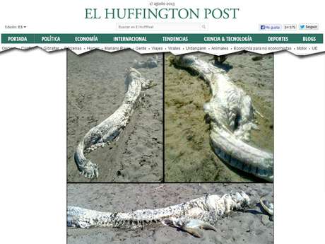 O animal foi encontrado em uma praia da Espanha na sexta-feira O animal foi encontrado em uma praia da Espanha na sexta-feira