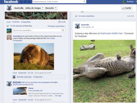 Foto do canguru na página da Austrália no Facebook teve milhares de comentários <p>Foto do canguru na página da Austrália no Facebook teve milhares de comentários</p>