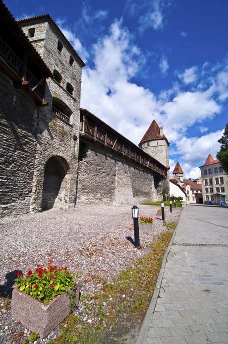 Tallin <p>Tallin</p>