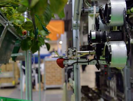 O robô será comercializado a partir de 2014 por US$ 50 mil <p>O robô será comercializado a partir de 2014 por US$ 50 mil</p>