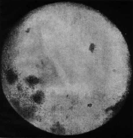 Há 54 anos, sonda fazia primeiras imagens do "lado negro 
