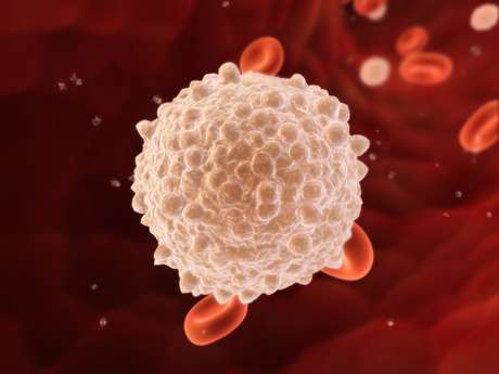 Thinkstock <p>Los glóbulos blancos protegen el cuerpo contra las infecciones.</p>