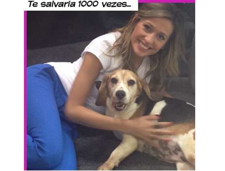 Apresentadora e ativista Luisa Mell posa com um dos cães resgatados e diz não estar arrependida de ação no Instituto Royal <p>Apresentadora e ativista Luisa Mell posa com um dos cães resgatados e diz não estar arrependida de ação no Instituto Royal</p>