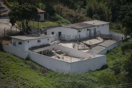 <p>Instituto Royal decidiu encerrar pesquisas com animais em sede de S&atilde;o Roque, no interior de S&atilde;o Paulo</p>