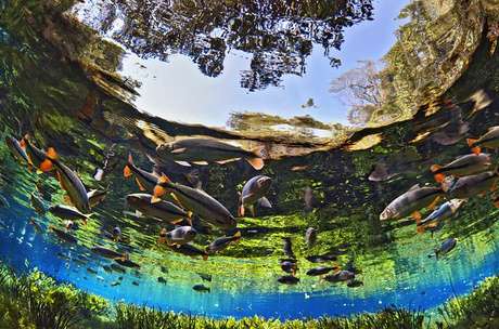 Bonito é conhecido pelos águas cristalinas e natureza preservada Bonito é conhecido pelos águas cristalinas e natureza preservada