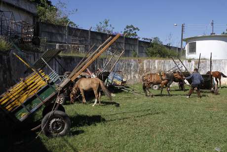 Carroças serão encaminhadas à reciclagem e animais irão para abrigo Carroças serão encaminhadas à reciclagem e animais irão para abrigo