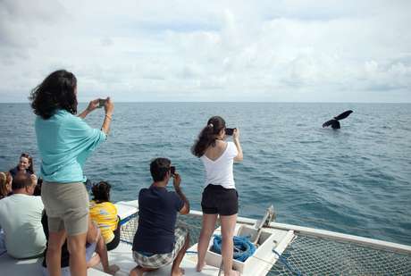 Abrolhos, na Bahia, reúne turistas que querem ver de perto as baleias Abrolhos, na Bahia, reúne turistas que querem ver de perto as baleias