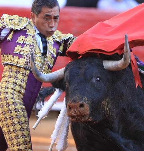 Toureiro Eulalio Lopez perdeu o controle do animal durante evento. Defensores de animais tentam acabar com a tourada no país <p>Toureiro Eulalio Lopez perdeu o controle do animal durante evento. Defensores de animais tentam acabar com a tourada no país</p>