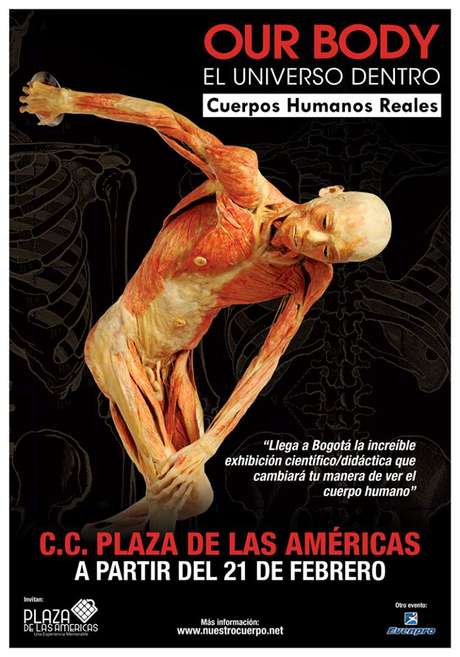 Oficial La exposición estará abierta de 10:00 a.m. a 8:00 p.m. de lunes a domingo.
