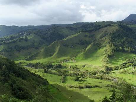 Paisagem do Triângulo do Café <p>Paisagem do Triângulo do Café</p>