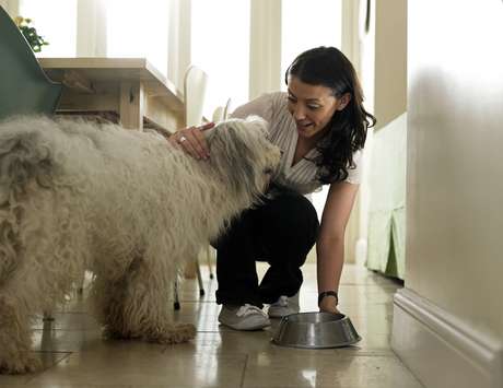 Estudo foi feito com 12 cães de raças diferentes Estudo foi feito com 12 cães de raças diferentes